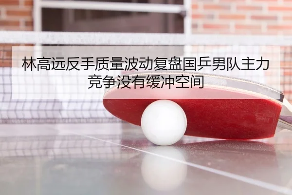 林高远反手质量波动复盘国乒男队主力竞争没有缓冲空间